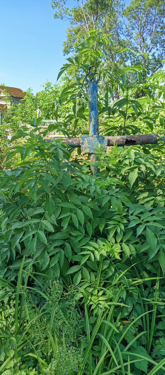 Фотография надгробия